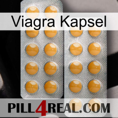 Viagra Capsule levitra2